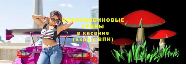 бошки Аркадак