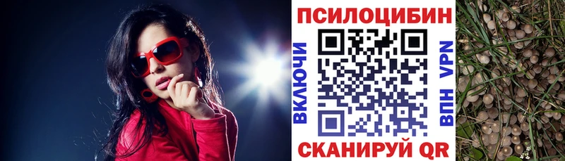 площадка какой сайт Сибай Галлюциногенные грибы Psilocybine cubensis